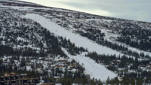 Skidresor till Villars-Gryon